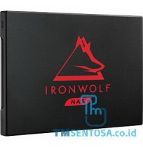 IronWolf 125 500GB [ZA500NM1A002]